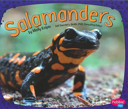Salamanders