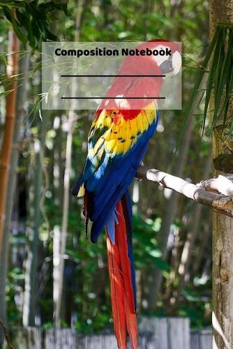 Composition Notebook: Cute Parrot Tropical Birds Vacation Themed Notebook or Journal