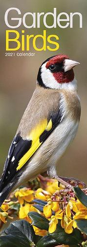 Garden Birds 2021 Slim Calendar