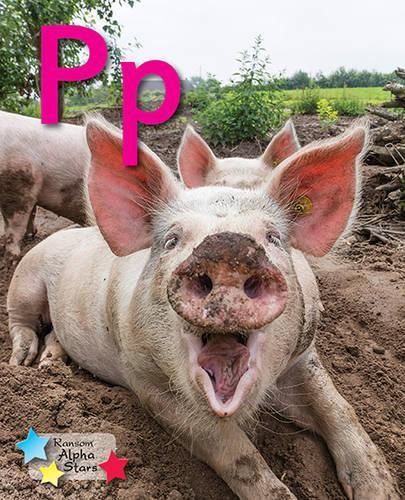 Alpha Stars Pp 6-Pack: (Alpha Stars)