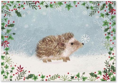 Mini Box: Happy Hedgehog