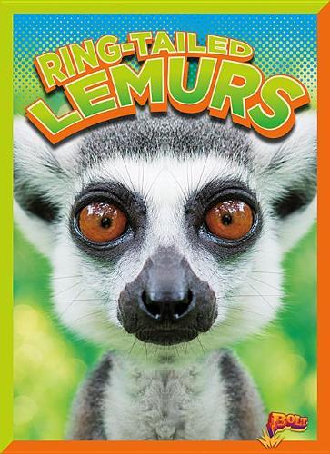 Ring-Tailed Lemurs