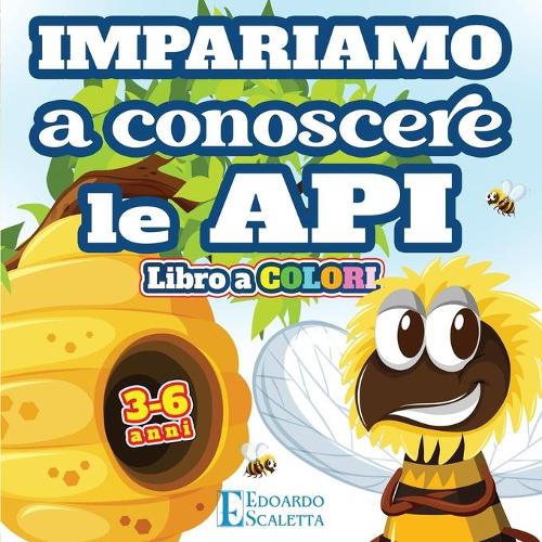 Impariamo a Conoscere le API - Libro a COLORI