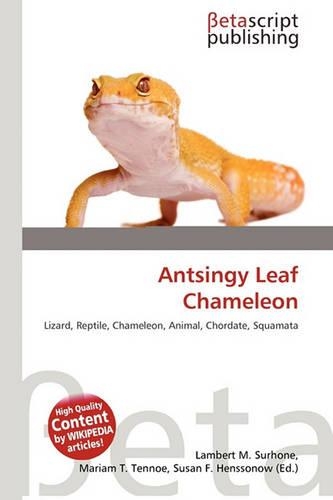 Antsingy Leaf Chameleon