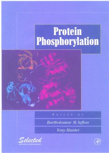 Protein Phosphorylation