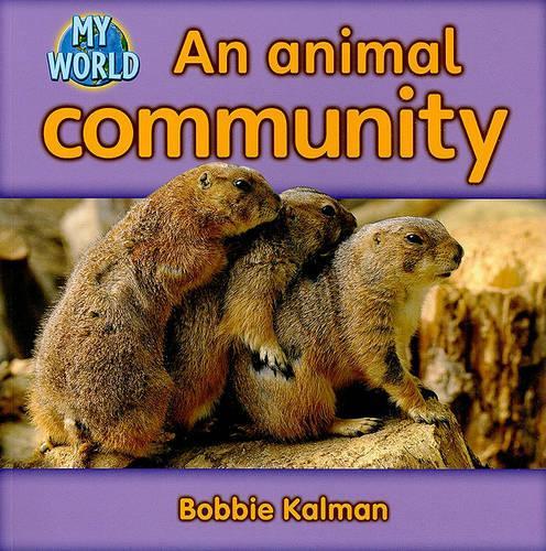 An animal community: Animals in My World(My World)