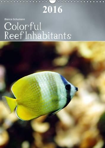 Colorful Reef Inhabitants 2016: Tropical reefs provide a wide variety of animals and colors(Calvendo Animals)