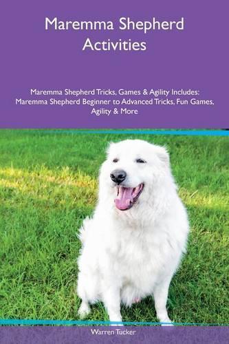 Maremma Shepherd Activities Maremma Shepherd Tricks, Games & Agility Includes