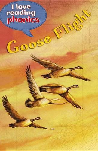 I Love Reading Phonics Level 5: Goose Flight