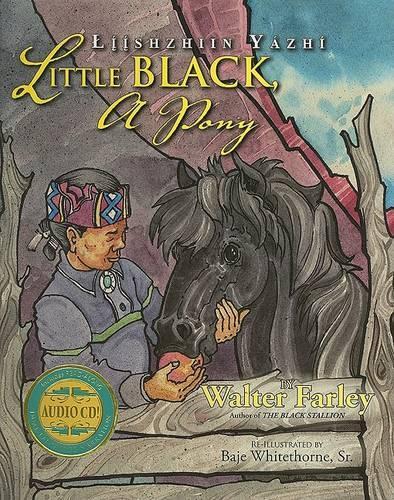 Little Black, a Pony