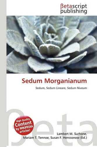 Sedum Morganianum