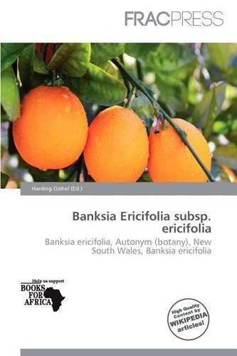 Banksia Ericifolia Subsp. Ericifolia: (English)