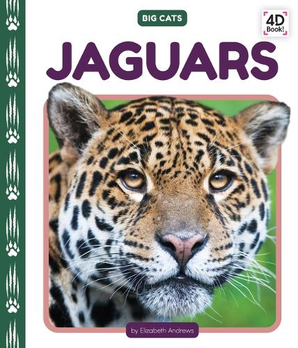 Jaguars: (Big Cats)