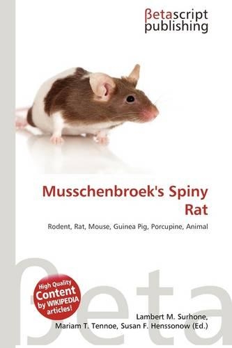 Musschenbroek's Spiny Rat