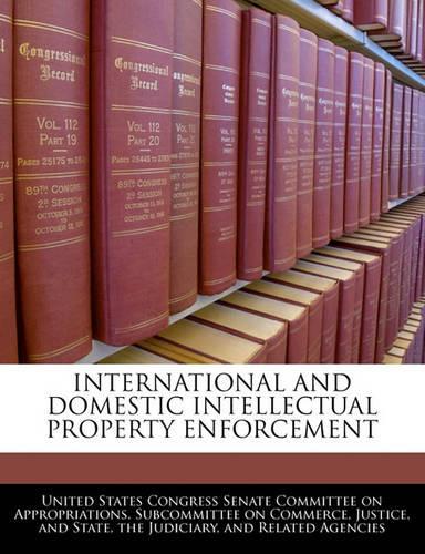 International and Domestic Intellectual Property Enforcement