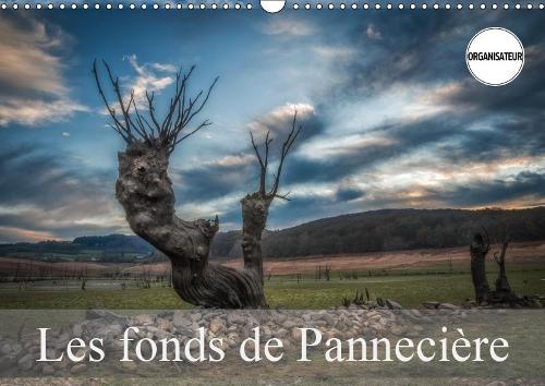 Les fonds de Pannecière 2019: Vision de paysages habituellement engloutis(Calvendo Places)