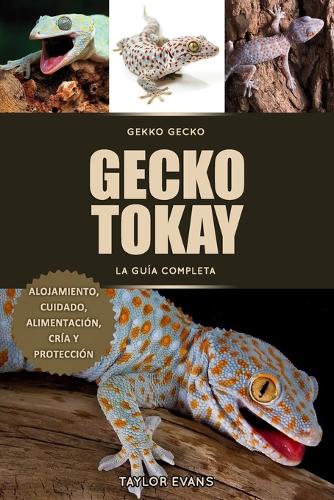 Gecko Tokay La Guía Completa