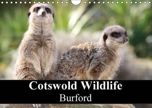 Cotswold Wildlife Burford 2017