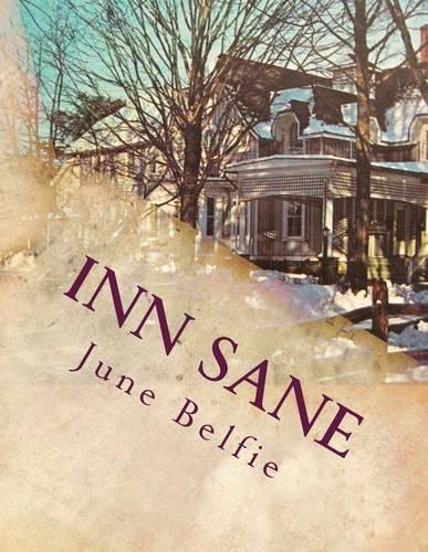 Inn Sane: Memoirs of an Innkeeper(English)