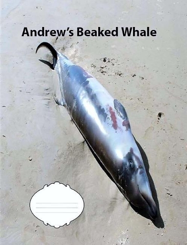 Andrew's Beaked Whale College Ruled Line Paper Composition Book: Whale Fans, College Notebooks, Middle School Students, Journals, Composition notebooks