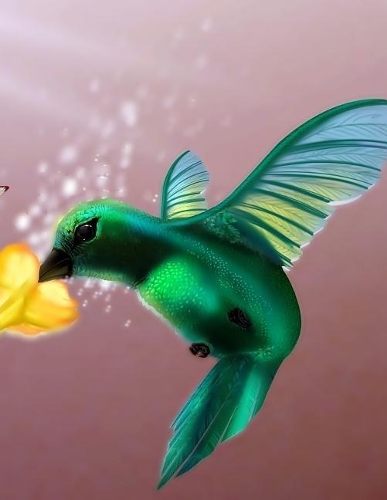 Humming Bird Notebook