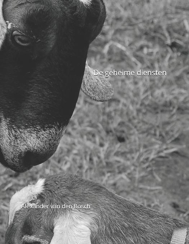 De geheime diensten