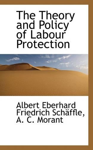 The Theory and Policy of Labour Protection