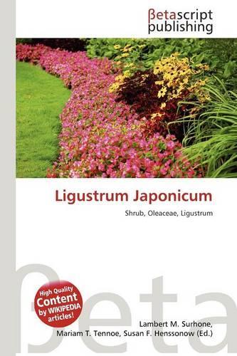 Ligustrum Japonicum