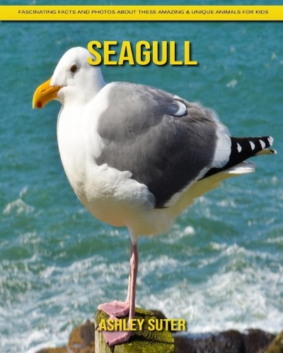 Seagull