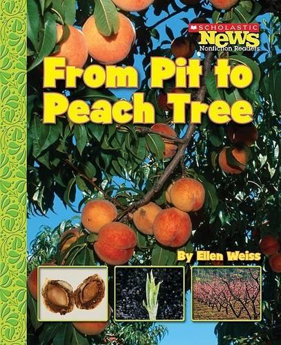 From Pit to Peach Tree