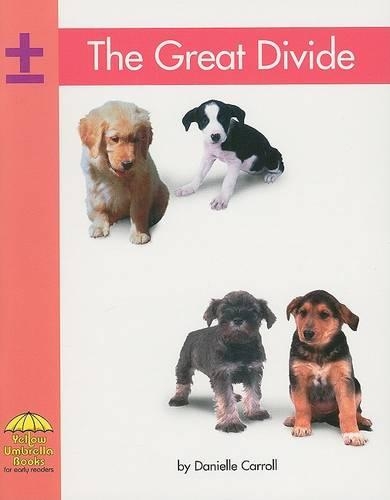 The Great Divide: (Yellow Umbrella Books: Math - Level B)