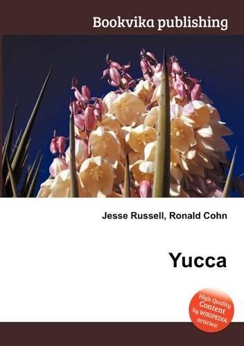 Yucca