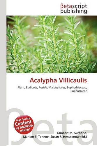 Acalypha Villicaulis