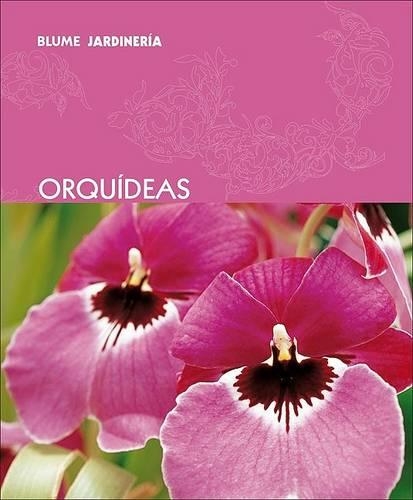 Orquideas: (Blume Jardineria)