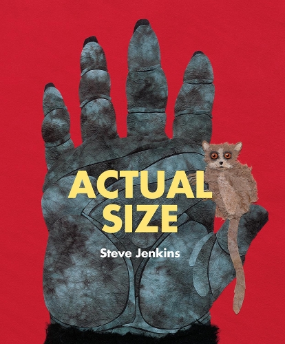Actual Size: (English)