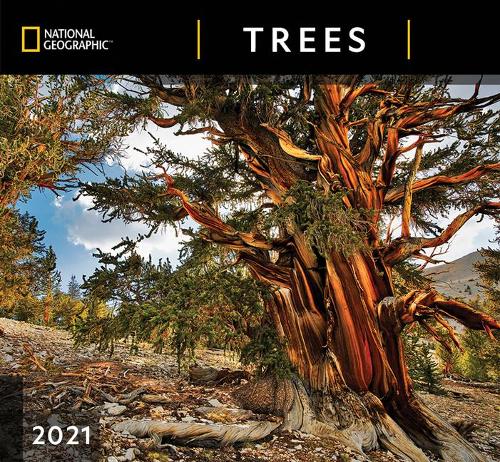 Cal 2021- National Geographic Trees Wall