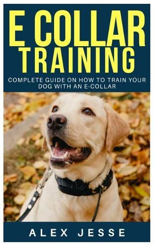 E Collar Training: Complete Guide on How to Train Your Dog with an E-Collar