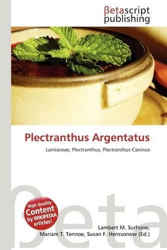 Plectranthus Argentatus