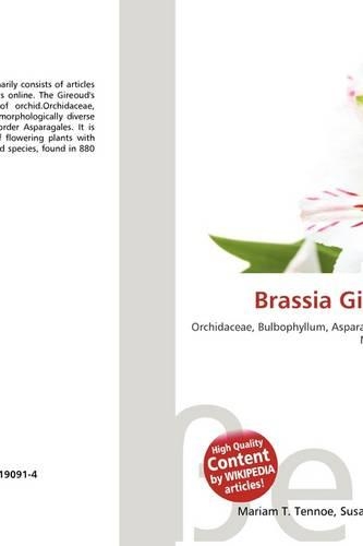 Brassia Gireoudiana: (English)