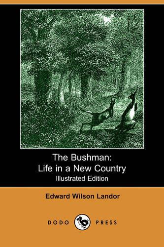 The Bushman