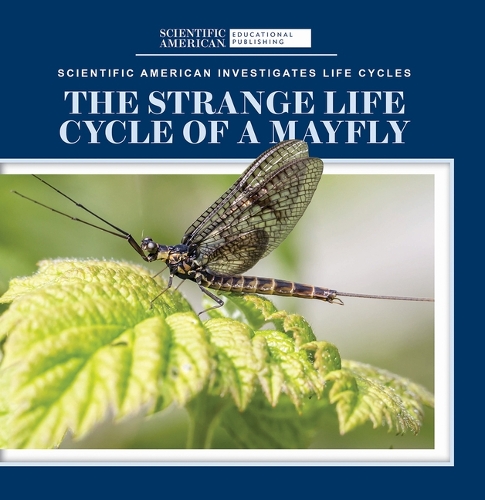 The Strange Life Cycle of a Mayfly: (Scientific American Investigates Life Cycles)