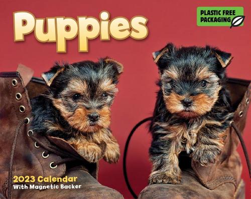 2023 Puppies Mini Box Calendar Plastic Free