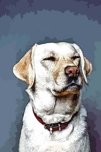 Labrador Retriever: A Journal