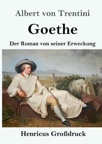 Goethe (Großdruck): Der Roman von seiner Erweckung