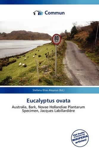 Eucalyptus Ovata