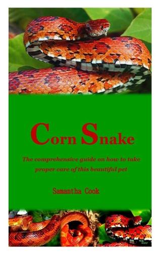 Corn Snake: The comprehensive guide on how to take proper care of this beautiful pet