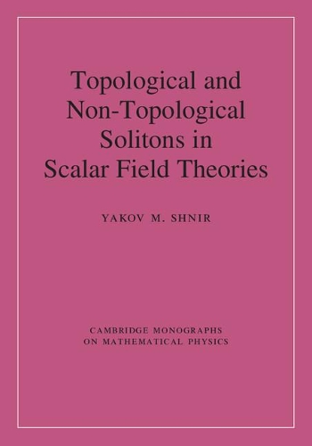 Topological and Non-Topological Solitons in Scalar Field Theories