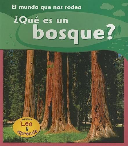¿qué Es Un Bosque?: (El Mundo Que Nos Rodea/The World Around Us)