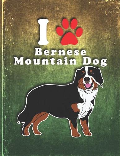 Bernese Mountain Dog
