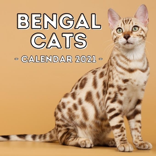 Bengal Cats